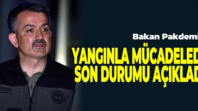 Bakan Pakdemirli yangınla mücadelede son durumu açıkladı