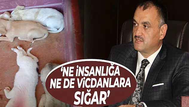 'NE İNSANLIĞA NE DE VİCDANLARA SIĞAR'