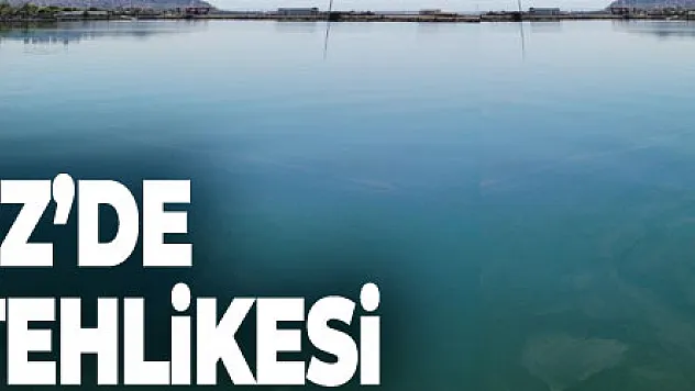 Karadeniz'de müsilaj tehlikesi