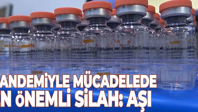 Pandemiyle mücadelede en önemli silah: Aşı