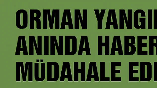 Orman yangınlarını anında haber veren ve müdahale eden keşif