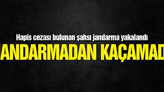 Hapis cezası bulunan şahsı jandarma yakalandı