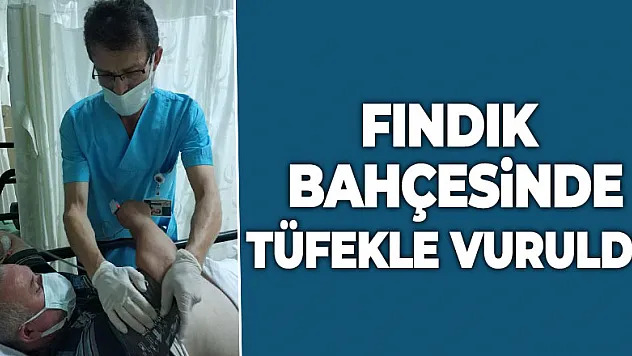 Fındık bahçesinde tüfekle vuruldu
