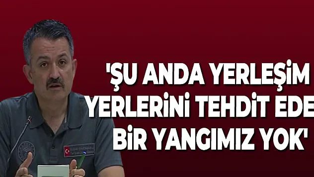 Bakan Pakdemirli: 'Şu anda yerleşim yerlerini tehdit eden bir yangımız yok'