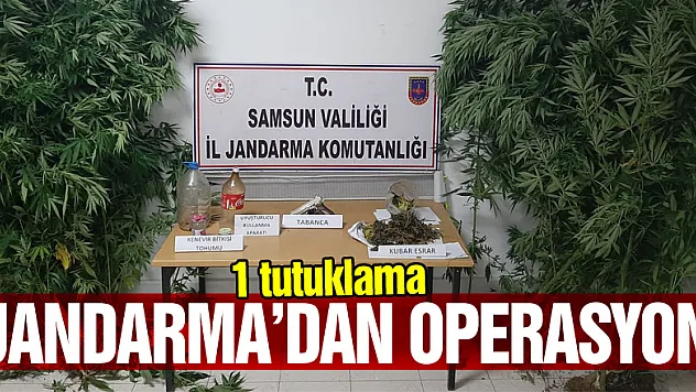 Jandarma'dan operasyon:1 tutuklama