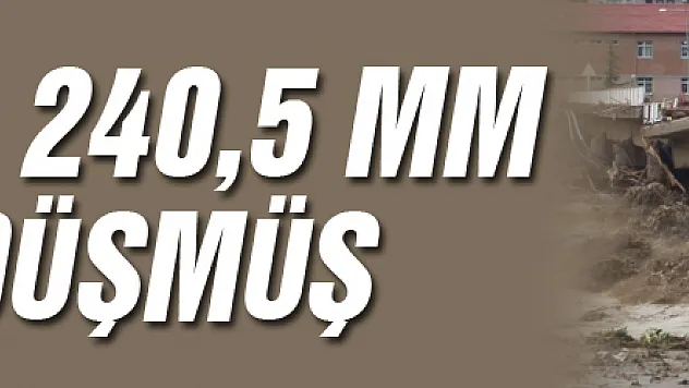 Ayancık'a 240,5 mm yağış düşmüş