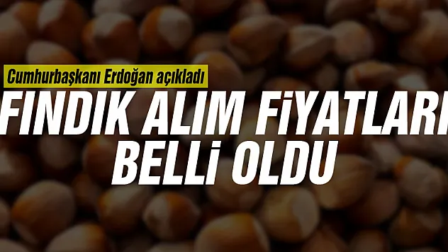 Fındık alım fiyatları belli oldu