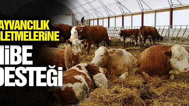 Samsun'da hayvancılık işletmelerine 1,7 milyon TL hibe desteği