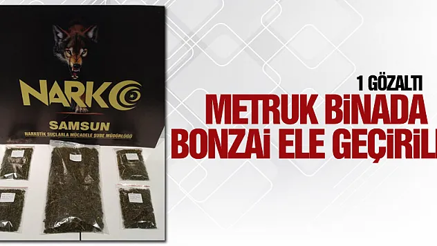 Samsun'da metruk binada 5 paket bonzai ele geçirildi: 1 gözaltı