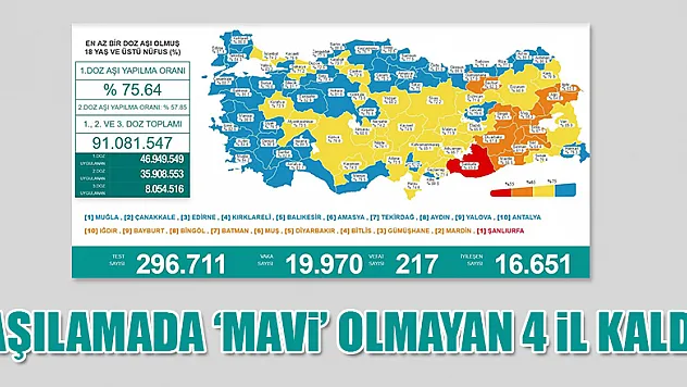 Karadeniz'de aşılamada 'mavi' olmayan 4 il kaldı 