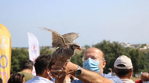 OMÜ'de kampüse keklik ve sülün salındı