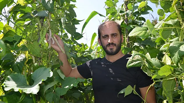 Bu fasulye Türkiye'de tek