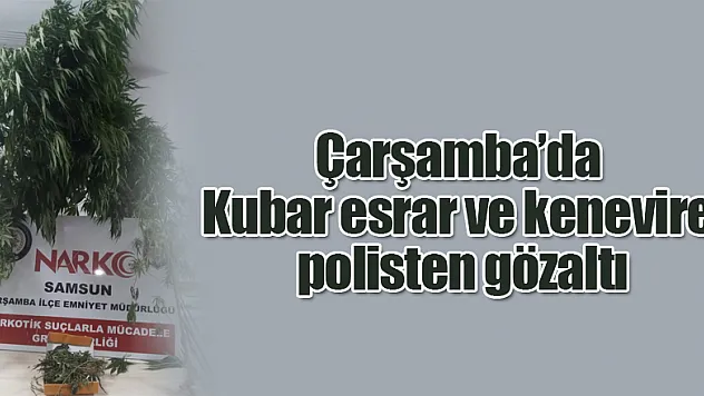 Kubar esrar ve kenevire polisten gözaltı