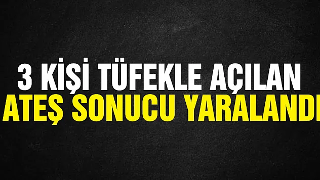3 kişi tüfekle açılan ateş sonucu yaralandı