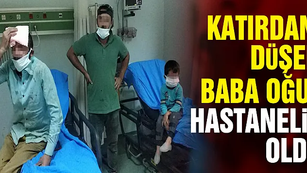 Katırdan düşen baba oğul hastanelik oldu