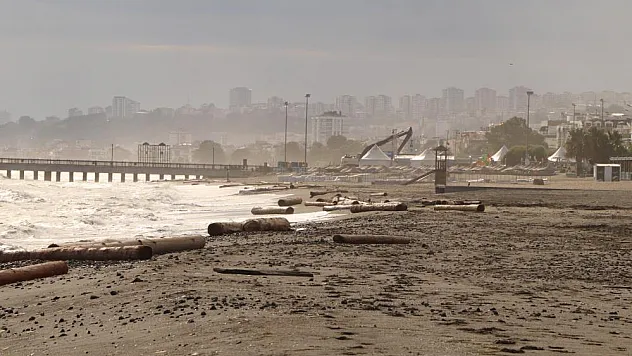 Ayancık'ta sel sularının denize sürüklediği tomruklar Samsun sahillerinde