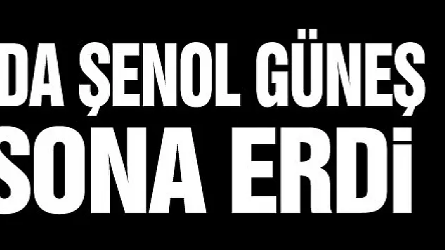 A Milli Takım'da Şenol Güneş dönemi sona erdi