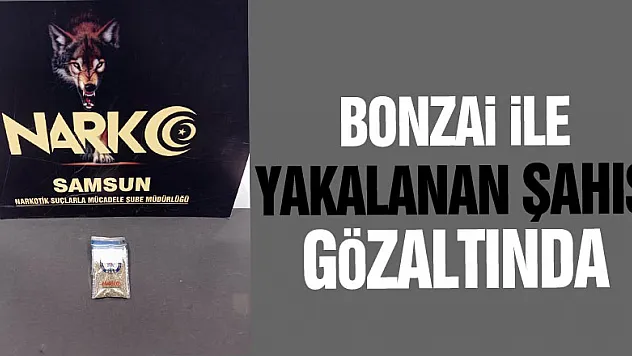 Bonzai ile yakalanan şahıs gözaltında