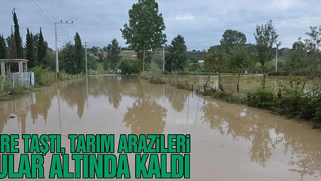 Bafra'da dere taştı, tarım arazileri sular altında kaldı