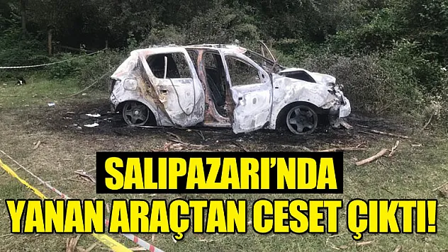 Yanan araçta ölü bulundu!