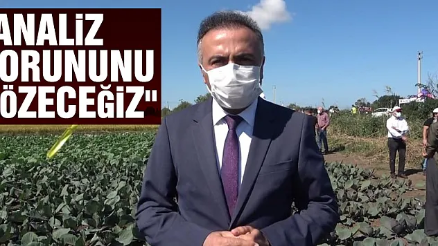 Daire Başkanı Dilber: 'Analiz sorununu çözeceğiz'