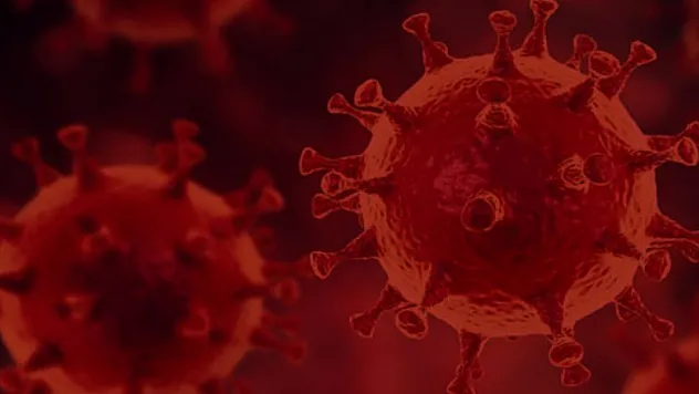 Son 24 saatte korona virüsten 216 kişi hayatını kaybetti