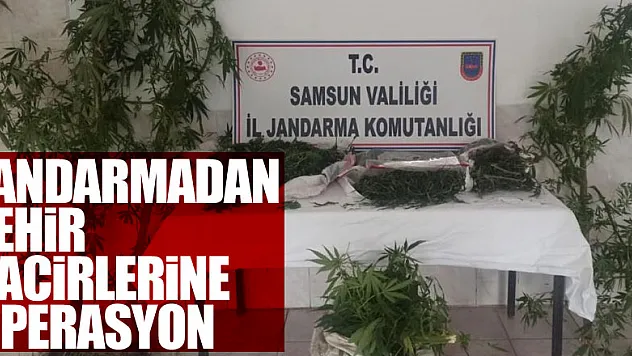 Jandarmadan zehir tacirlerine operasyon: 46 kilo esrar ele geçirildi