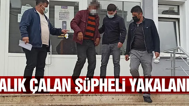 Balıkçıdan 35 kilo balık çalan şüpheli yakalandı