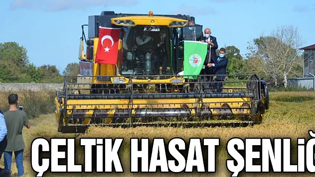 Bafra Ovası'nda Çeltik Hasat Şenliği