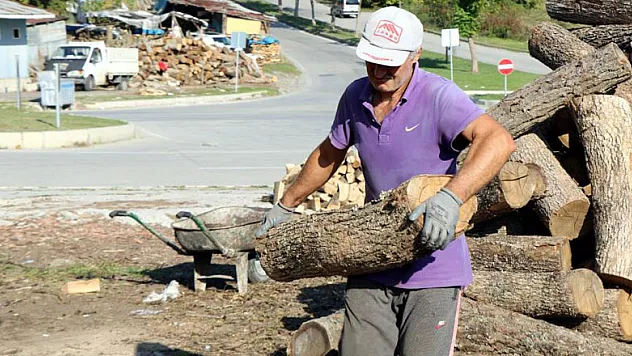 Büyük fabrikalar odunu ateşliyor