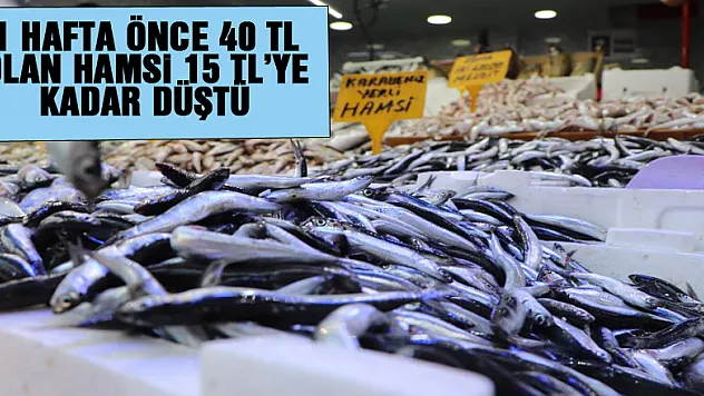 1 hafta önce 40 TL olan hamsi 15 TL'ye kadar düştü