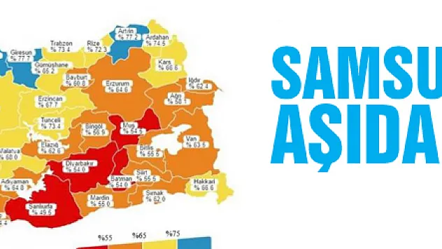 Samsun ikinci doz aşıda 'mavi' oldu