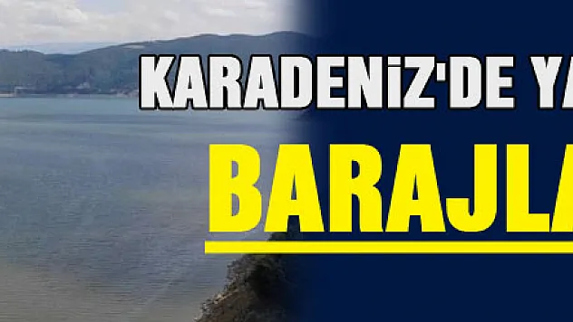 Karadeniz'de yağmur bereketi: Barajlar doldu