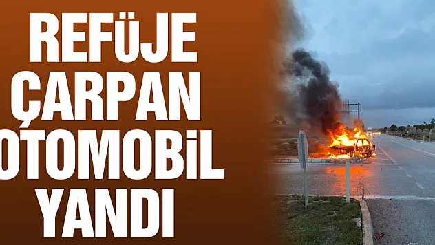 Samsun'da refüje çarpan otomobil yandı
