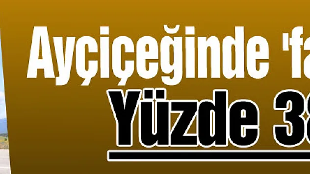 Ayçiçeğinde 'fark' ödemesi: Yüzde 38'lik artış