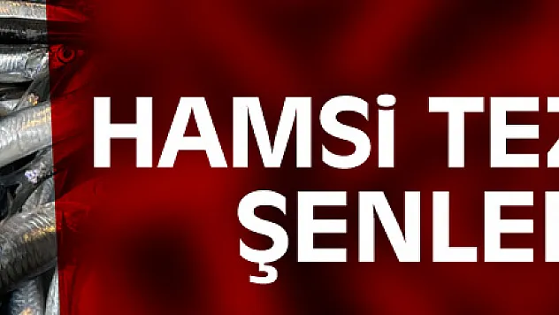 Hamsi tezgahları şenlendirdi, fiyat 10 liraya kadar düştü