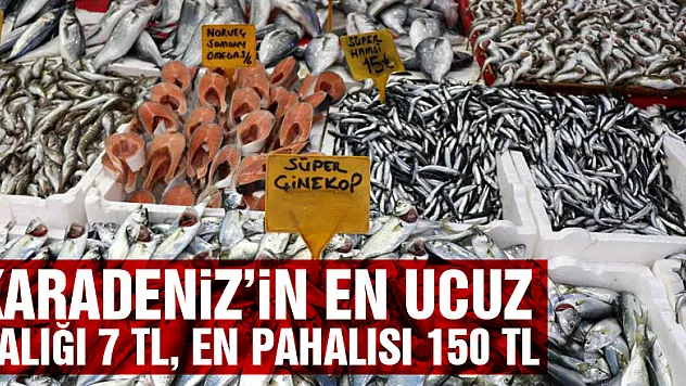 Karadeniz'in en ucuz balığı 7 TL, en pahalısı 150 TL