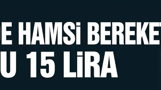 Karadeniz'de hamsi bereketi : Kilosu 15 lira