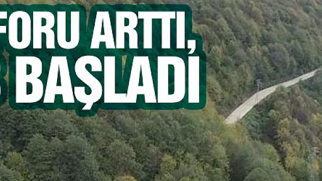 Yolların konforu arttı, köye dönüş başladı