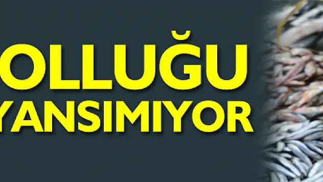 Karadeniz'deki hamsi bolluğu Samsun'daki fiyatlara yansımıyor