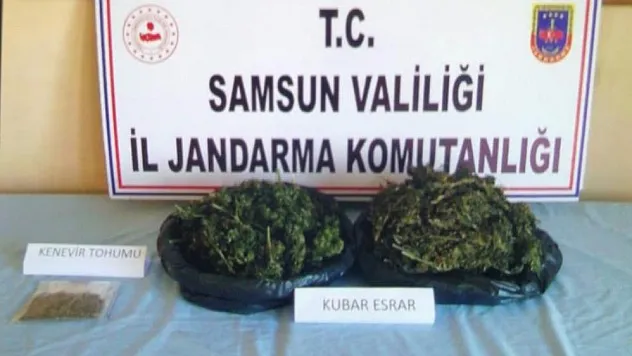 Jandarmadan uyuşturucu operasyonu: 1 gözaltı