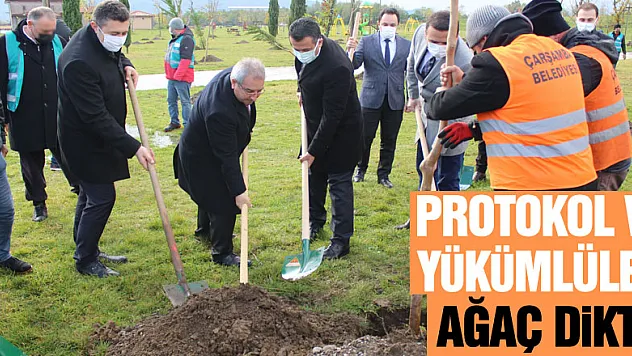 Protokol ve yükümlüler ağaç dikti