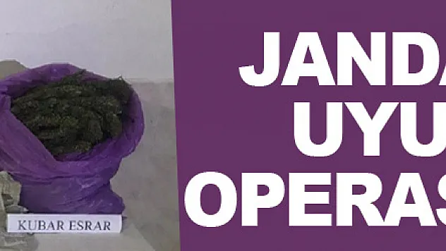 Samsun'da jandarmadan uyuşturucu operasyonları: 22 gözaltı