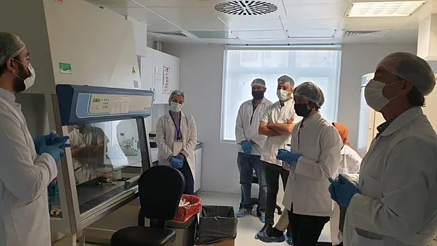 OMÜ'de kök hücre temel uygulama eğitimi