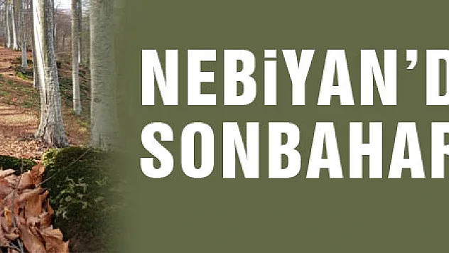 Nebiyan'da sonbahar güzelliği