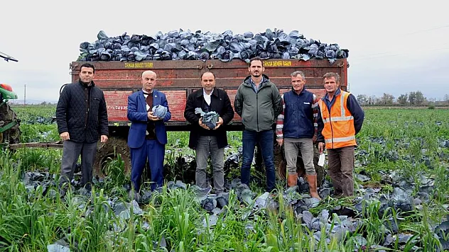 Bafra Ovası'nda üreticiye piyango vurdu