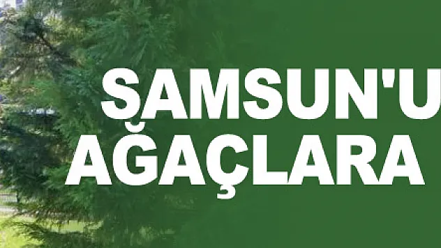 Samsun'u süsleyen ağaçlara kış bakımı