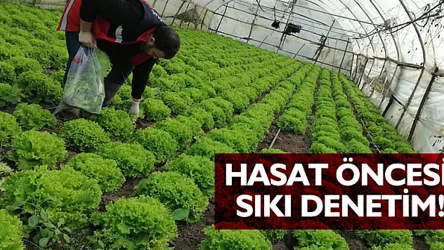 Hasat öncesi sıkı denetim!