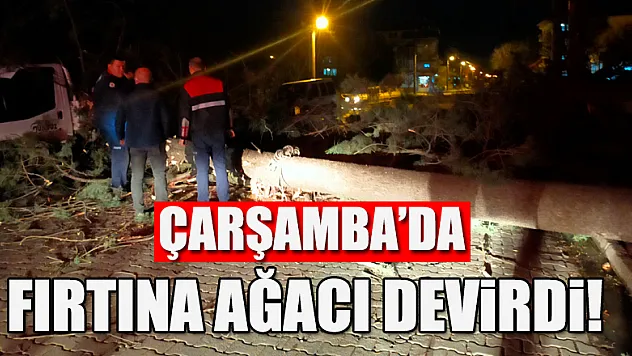 Fırtınadan devrilen ağaç kamyonetin üzerine düştü 