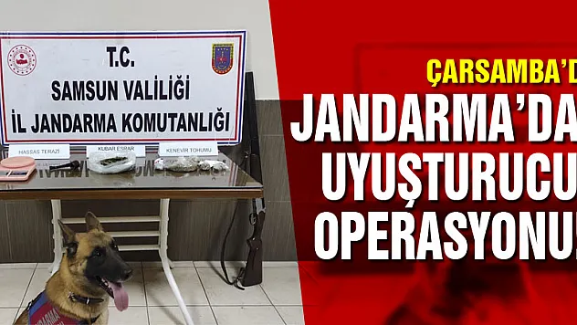 Jandarma'dan uyuşturucu operasyonu!